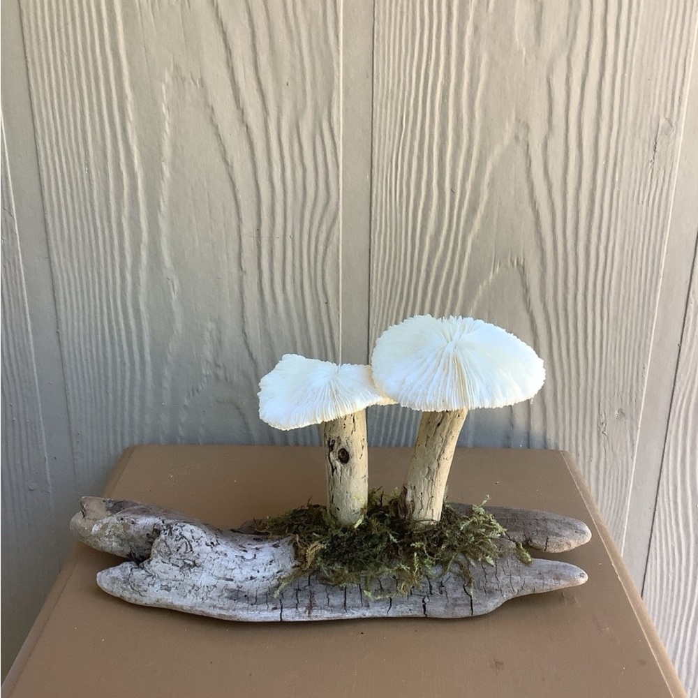 Driftwood Art, Driftwood and Coral Mushrooms, Mushroom Art, Coastal Art - Picture 4 of 12
